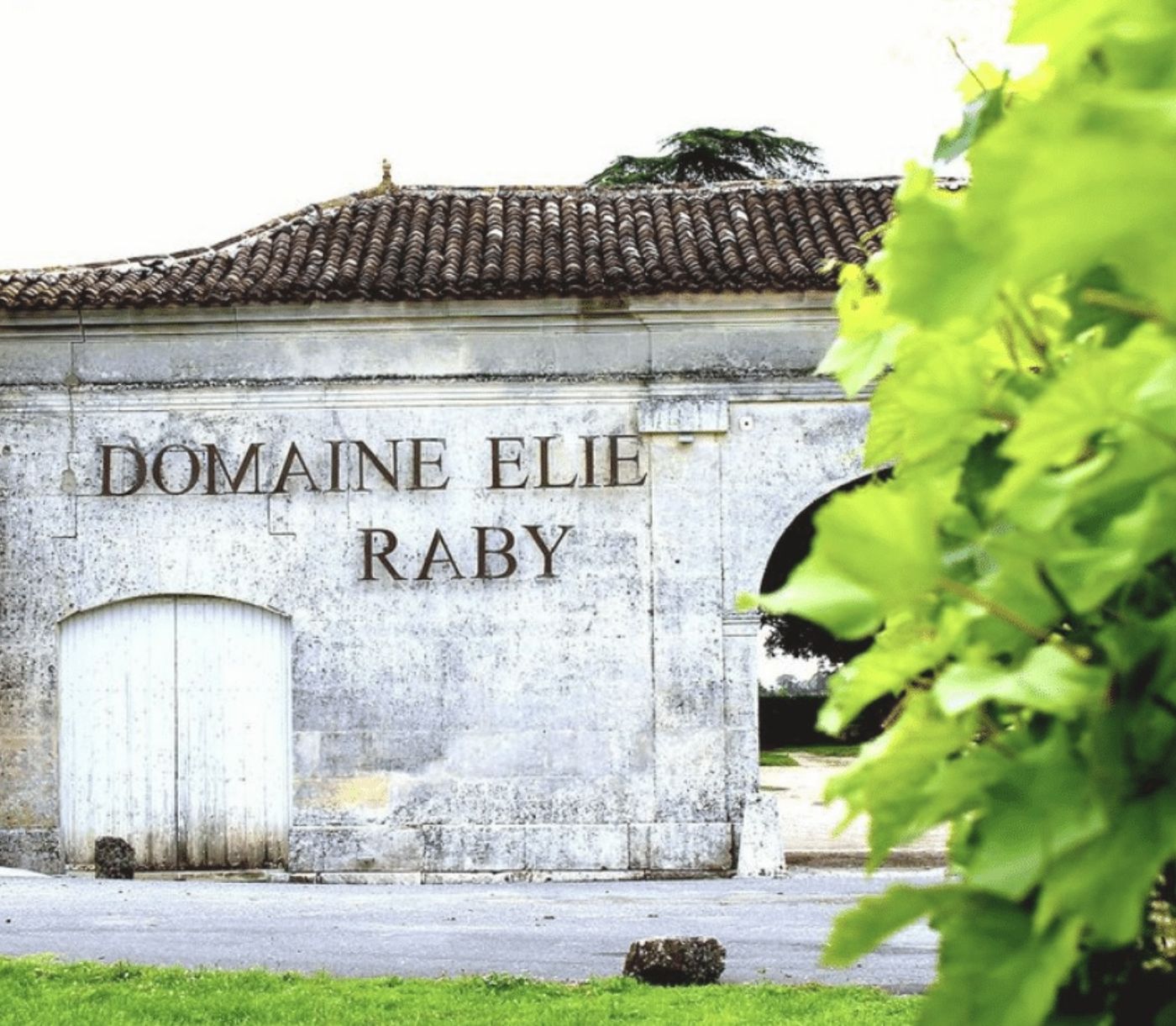 Domaine Elie Raby, Segonzac