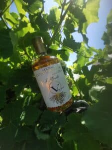 L'affranchi au coeur de nos vignes